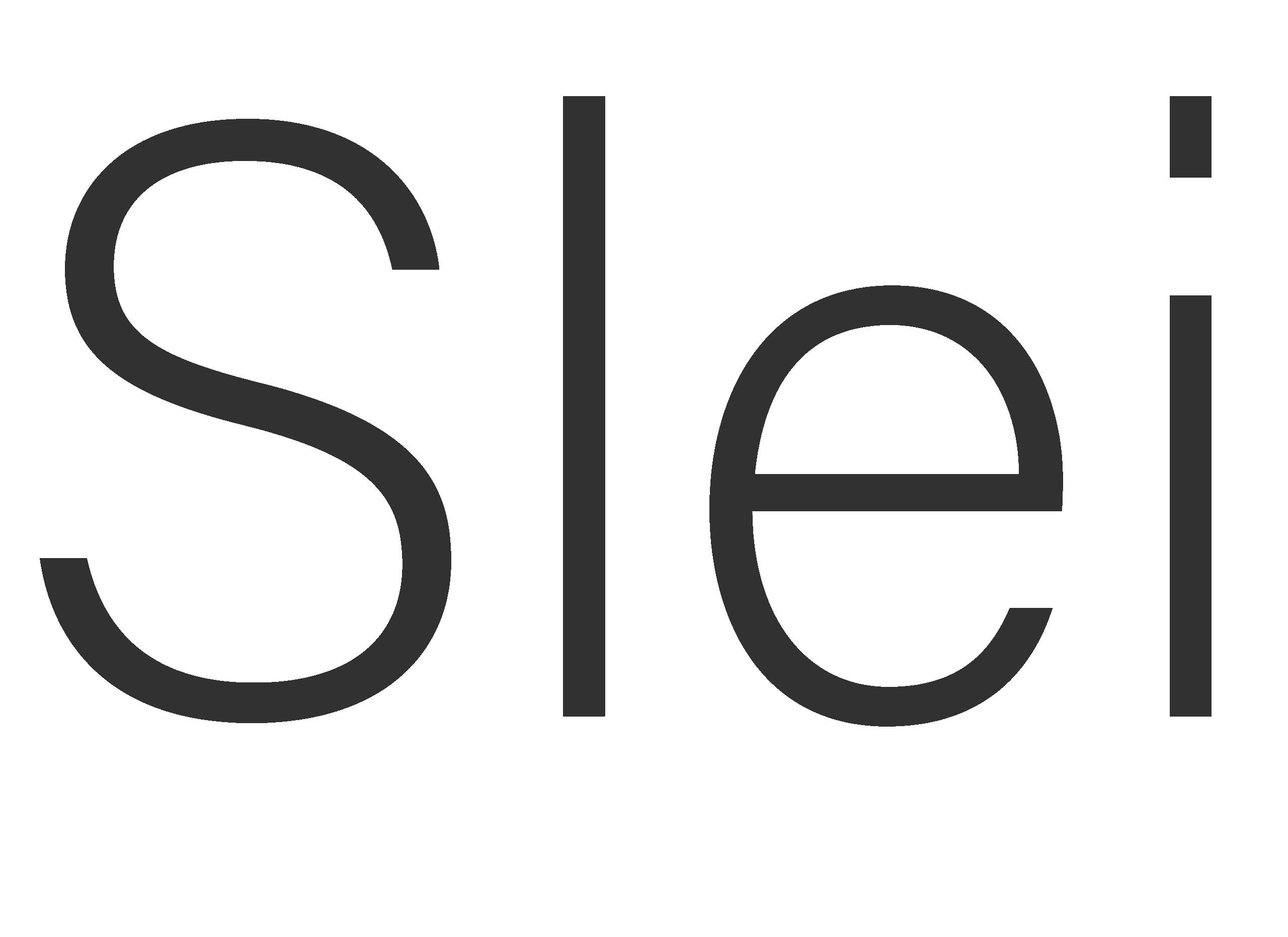 slei logo pilkas